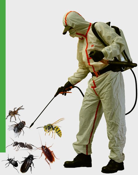 Sectorddd - Firma Deratizare, dezinsectie si dezinfectie