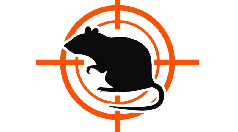 Sectorddd - Firma Deratizare, dezinsectie si dezinfectie