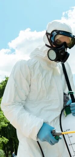 Sectorddd - Firma Deratizare, dezinsectie si dezinfectie